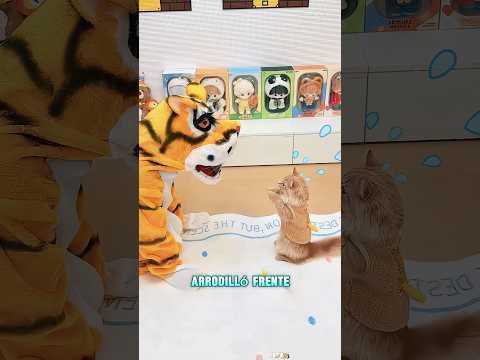 Al gato no le gustan los regalos que le da su dueño#funnyshorts #pets #cute #love