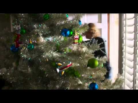 NCIS Los Angeles 7x11 - Baby Tiger