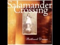 Salamander Crossing - Paul and Peter Walked.wmv