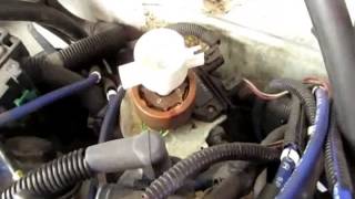 Changing Distributor Cap and Rotor Chevrolet Truck GMC 350, 305  How to