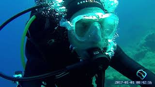 preview picture of video 'Immersione Secca di Punta Secca, Isola di Giannutri'