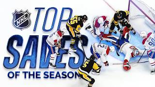 The 10 BEST Saves of the NHL Season ????