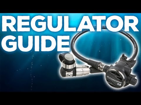 Regulator Guide