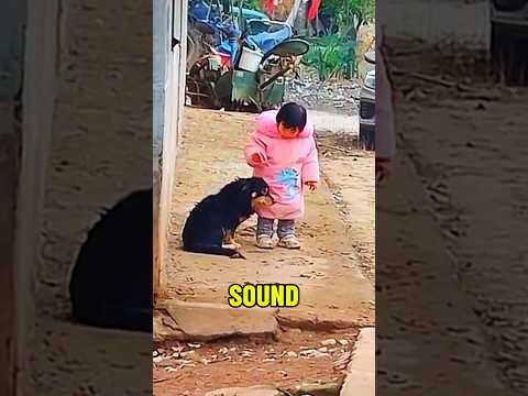 This girl loves dog 🥰 @DailyDoseOfInternet @Dylan_Anderson #shorts