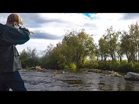 Alaska Adventure - Part 2  Hunting in Alaska and fishing for grayling