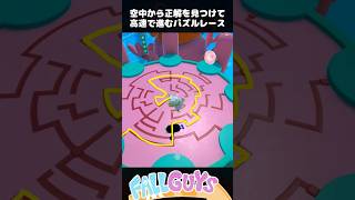 空中から一瞬で正解を見つける！高速で進むパズルレース【Fall Guys/フォールガイズ】