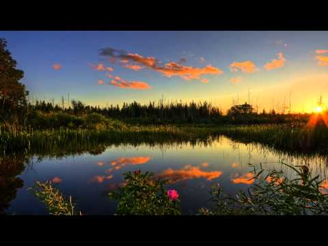 DIA [plattenpussys] - Hey Mama