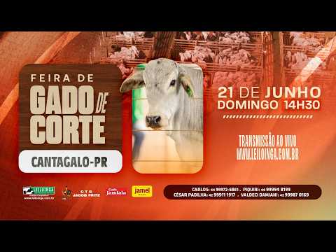 FEIRA DE GADO DE CORTE - CANTAGALO/PR.