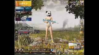 ガチャLIVE【PUBG MOBILE】萌え萌えパンダ狙います最大4つ