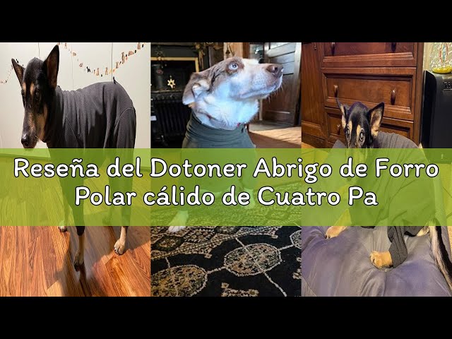 Vídeo relacionado con Dotoner Abrigo de Forro Polar cálido de Cuatro Patas para Perro,Abrigo de Invierno para Perro,Resistente al Viento,Cuerpo Completo,Acogedor Pijama Traje para pequeños,medianos y