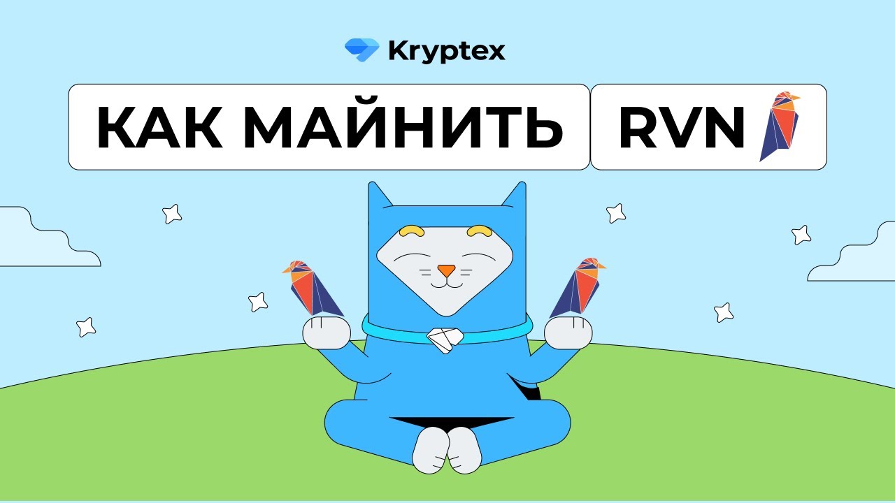 Видеогайды