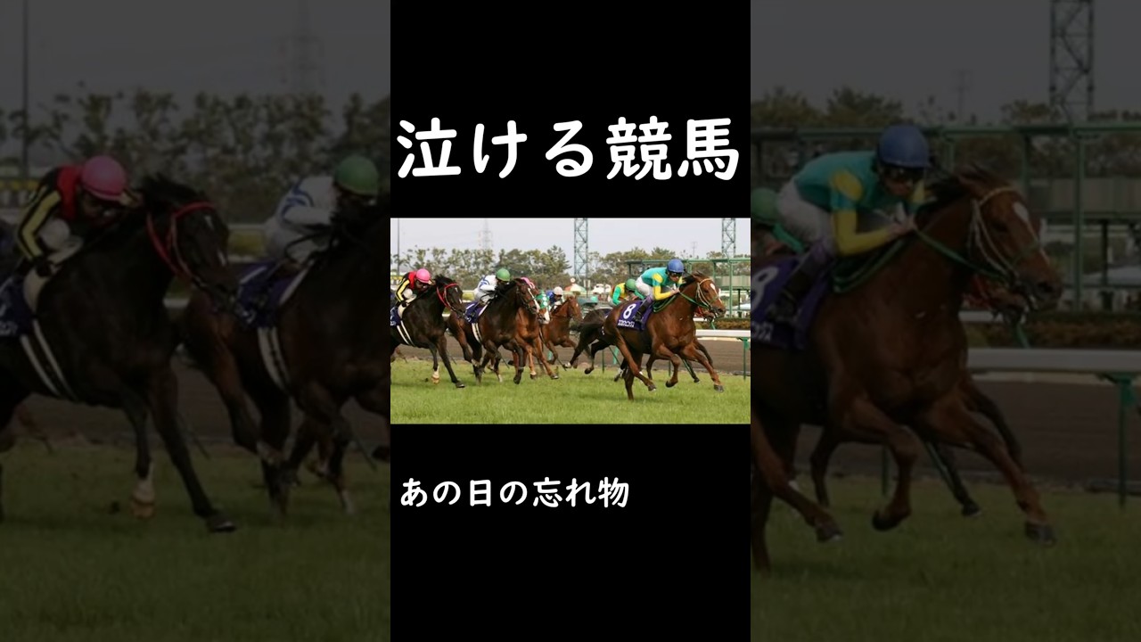 【泣ける競馬】あの日の忘れ物【ゆっくり解説】#shorts #競馬 #高松宮記念 #スズカフェニックス