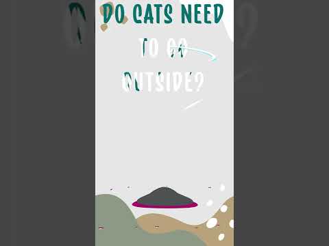Do Cats Need To Go Outside? 🐈 | Outdoor Cat Vs Indoor Cat 🐱 #shorts