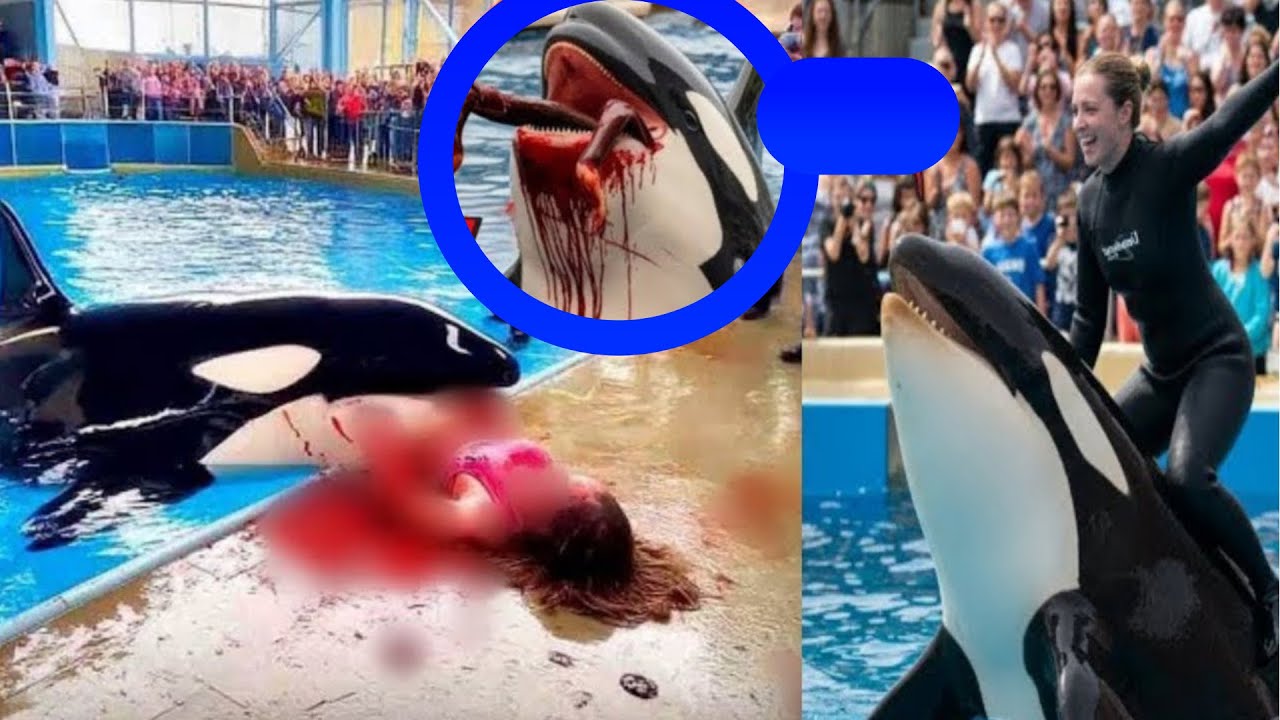 "YouTube no quiere que veas este video… y entenderás por qué"