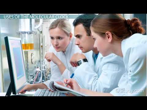Molecular Clocks   Definition, Uses & Problems   Video & Lesson Transcript   Study com ojevj1ht54 x2