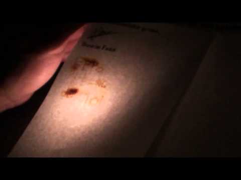 De finale van Wie is de mol Heusden - 2012