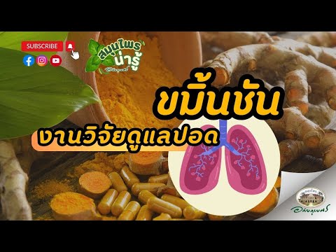 การกินขมิ้นชัน เพื่อช่วยดูแลปอด l สมุนไพรน่ารู้ อภัยภูเบศร (2024)