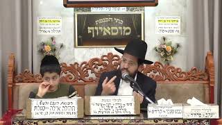 הרב שמואל יאיר | הלכות | מוסאיוף (בית הכנסת מוסאיוף - ערוץ חדש) - התמונה מוצגת ישירות מתוך אתר האינטרנט יוטיוב. זכויות היוצרים בתמונה שייכות ליוצרה. קישור קרדיט למקור התוכן נמצא בתוך דף הסרטון