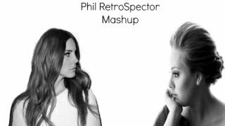 Phil RetroSpector || Born To Die / Set Fire To The Rain Mashup