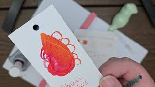 Habanero Ink Review Noodler's Fountain Pen Ink