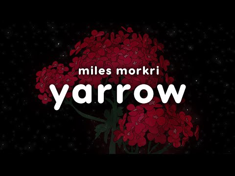 Video thumbnail for Yarrow