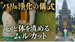 【55歳からのバリ島移住生活】バリ島の浄化の儀式🌿 ムルカット体験|寺院で心と体を清めるスピリチュアルジャーニー