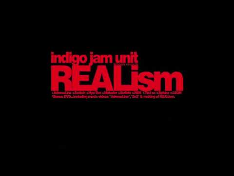 Indigo Jam Unit: Realism - Matador