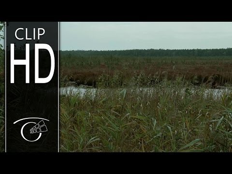 El último de los injustos - Clip 1 VOSE HD