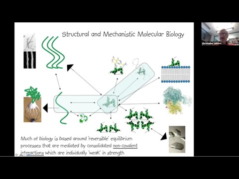 Biomolecular Thermodynamics and Calorimetry - Chris Johnson