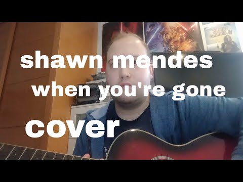 Shawn Mendes - When you´re gone cover by victor stone