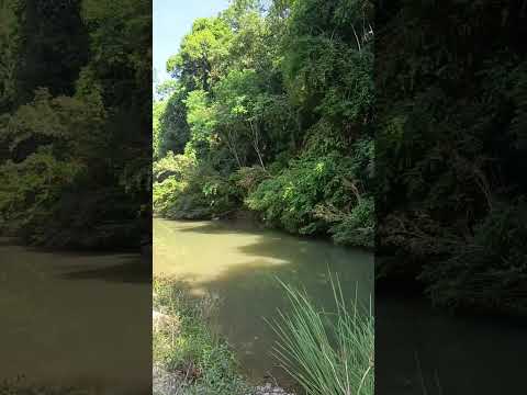 as belezas do Paraná