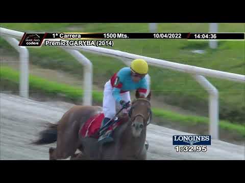 220410 c01 DON GATUNO (ARG)