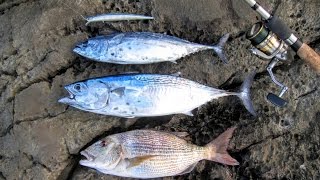 Duo tide minnow slim 120f