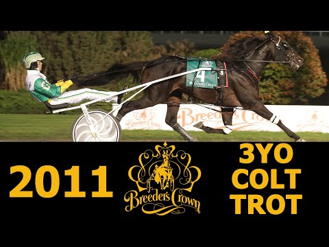 2011 Breeders Crown - Chapter Seven - 3CT