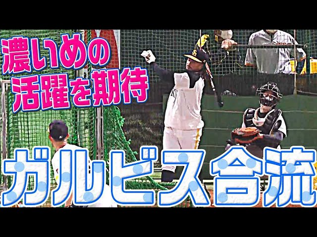 【ガルちゃん】ホークス・ガルビス『濃いめの活躍を期待』