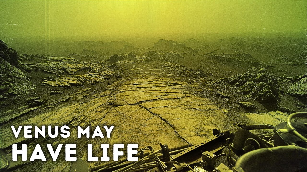 Scientists Just Proved That Life Could Exist on Venus
