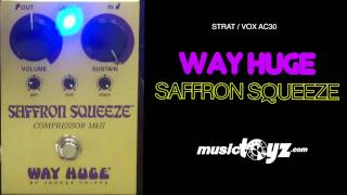 Video thumbnail for Way Huge Saffron Squeeze Compressor Guitar Pedal by musictoyznetwork