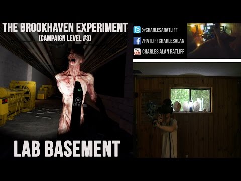 The Brookhaven Experiment on Steam