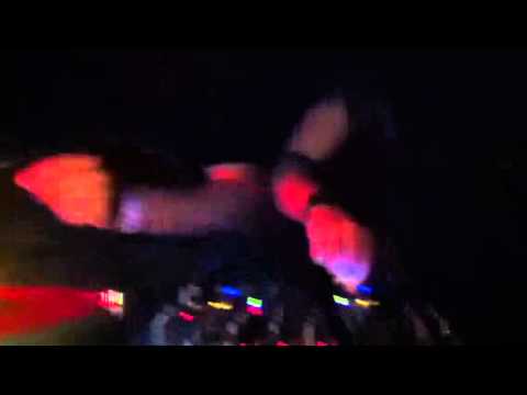 Fur Coat Treehouse Miami