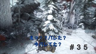 【トゥームレイダー】#35美しき冒険者:鈍感な実況者【KoC オヤビン＆コビン】