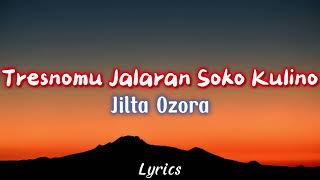 Download lagu Jilta Ozora - Tresnomu Jalaran Soko Kulino (Video Lirik) mp3