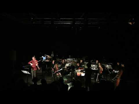 Cadenza from D'Amore by Oscar Strasnoy with Garth Knox, viola d'amore