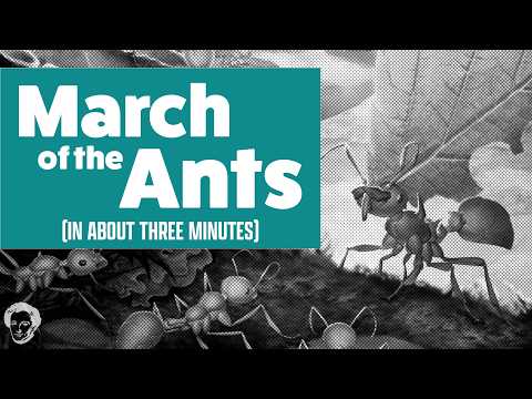 March of the ants in about 3 minutes