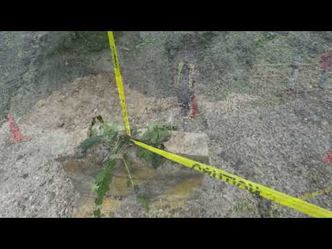 MIDH Repairs Road Collapse Near Bermudian Landing Bridge