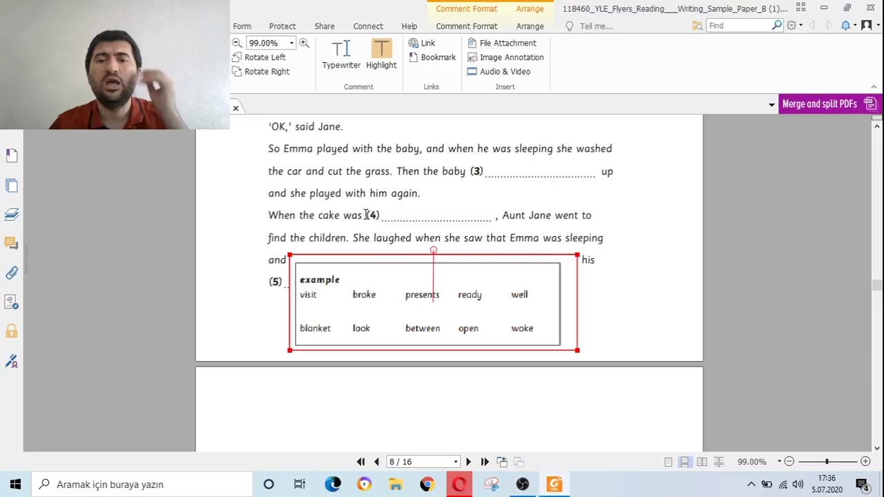 flyers reading writing sample exam