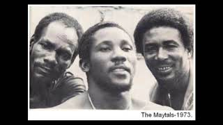 The Maytals African Doctor