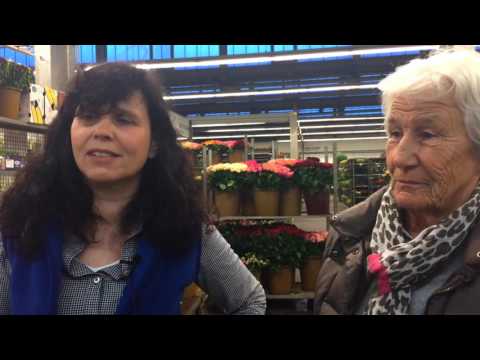 Düsseldorfer Großmarkt: So bunt geht es auf dem Blumen-Markt zu