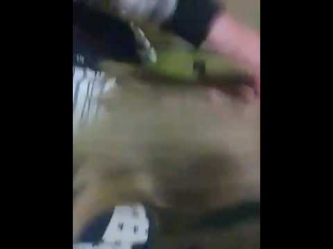 Dominika Mirgova-talizman 😍