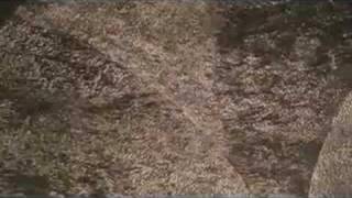 Afro Celt Sound Systen - A Look At Life - The Crocker Museum revisited