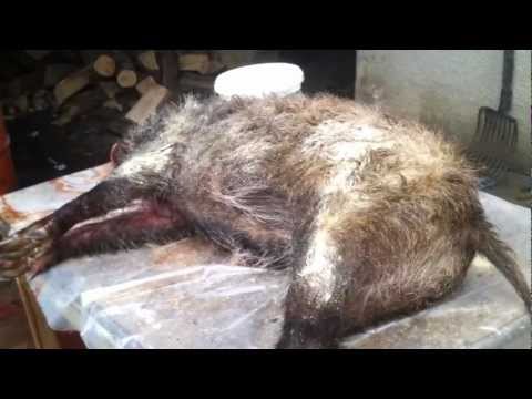 comment nettoyer avec une peau de chamois